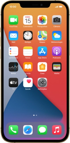 Apple iPhone 12 Pro Max