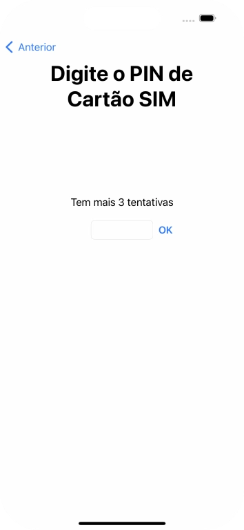 Se o cartão SIM estiver bloqueado, deve introduzir o código PIN e premir OK.