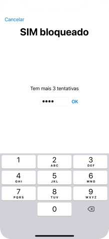 Se o cartão SIM estiver bloqueado, deve introduzir o código PIN e premir OK.