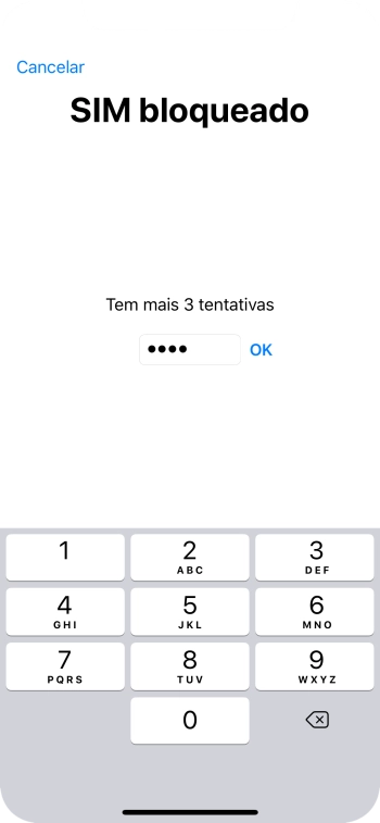Se o cartão SIM estiver bloqueado, deve introduzir o código PIN e premir OK.