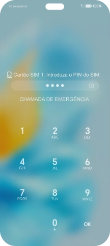 Se o cartão SIM estiver bloqueado, deve introduzir o código PIN e premir OK.