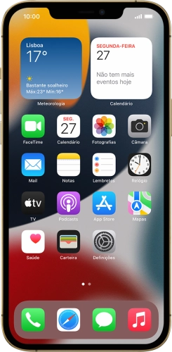 Apple iPhone 12 Pro Max