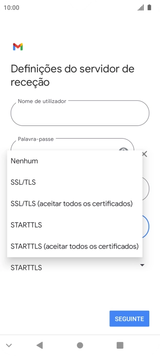 Prima SSL/TLS para ativar a função.
