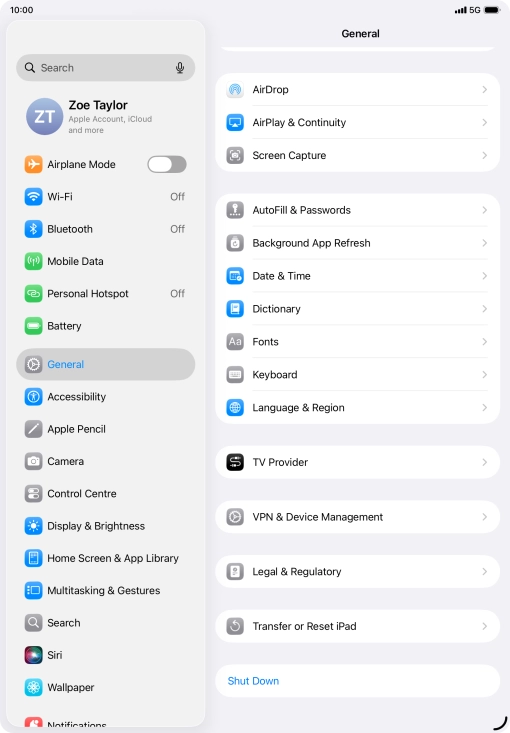 Press Transfer or Reset iPad.