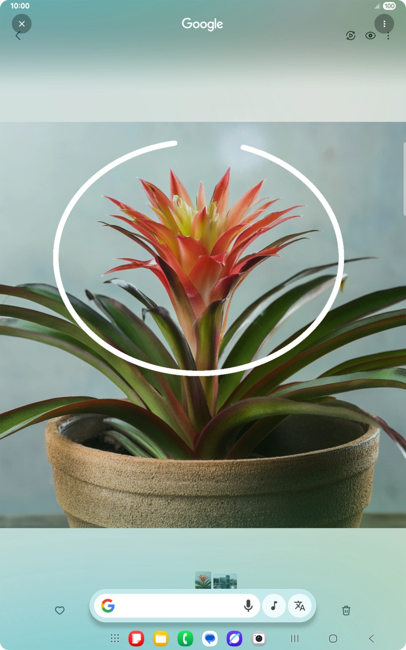 Draw a circle around the required object on the picture and wait for the search results.