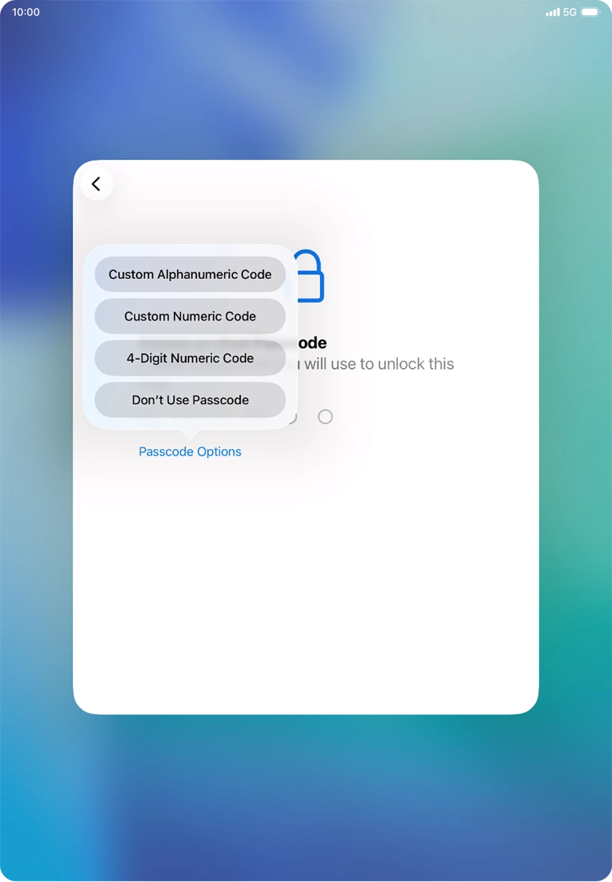 Follow the instructions on the screen to turn on the lock code or press Don't Use Passcode.