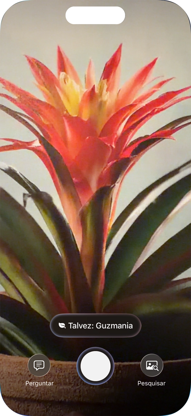 Para obter informação acerca de animais e plantas, prima o campo de informações.