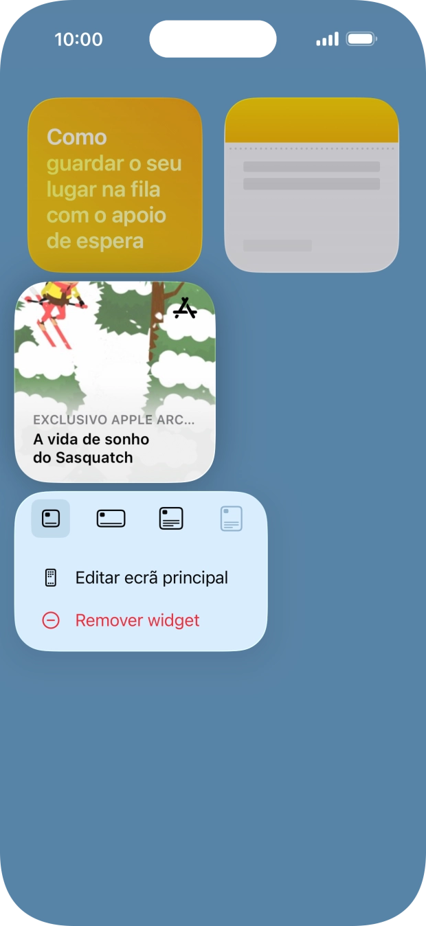 Prima Remover widget.
