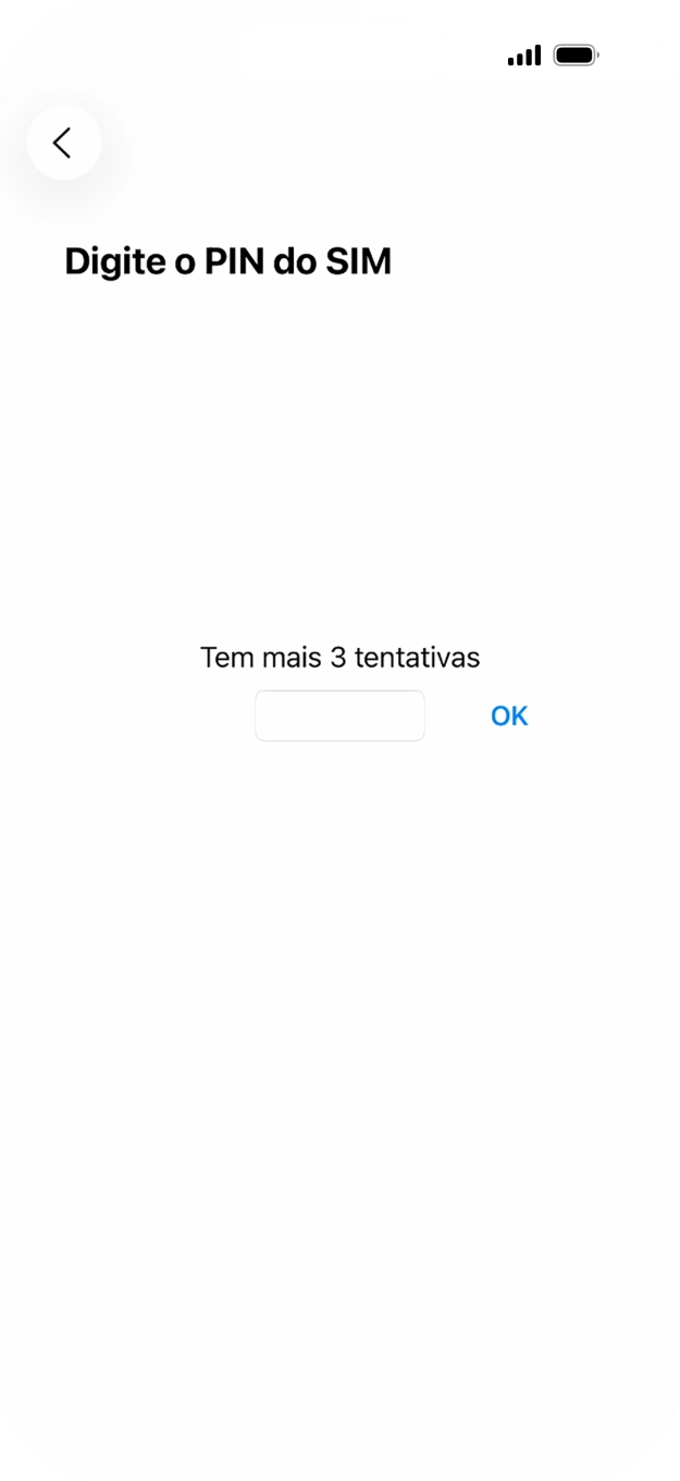 Se o cartão SIM estiver bloqueado, deve introduzir o código PIN e premir OK.