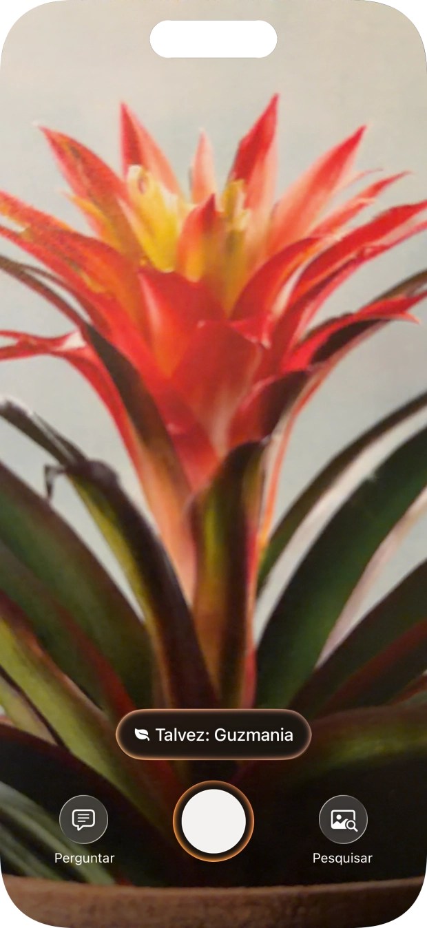 Para obter informação acerca de animais e plantas, prima o campo de informações.