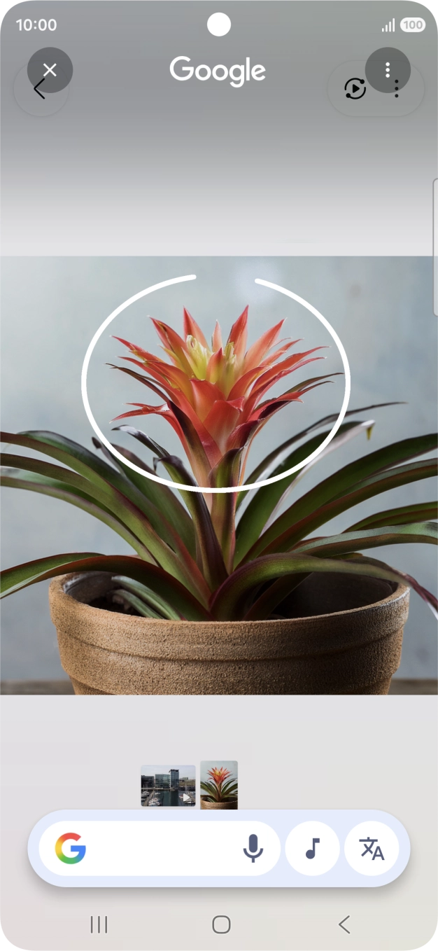 Draw a circle around the required object on the picture and wait for the search results.