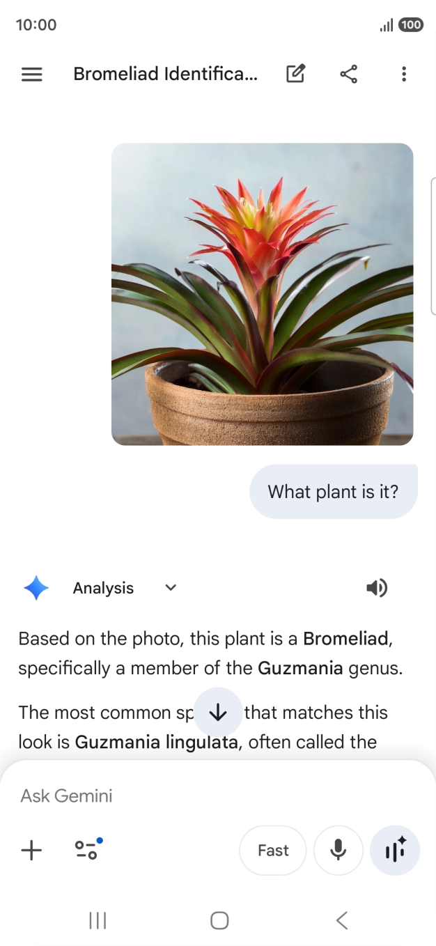 Follow the instructions on the screen to type or speak the required question. You can also attach pictures or documents and ask questions to them.