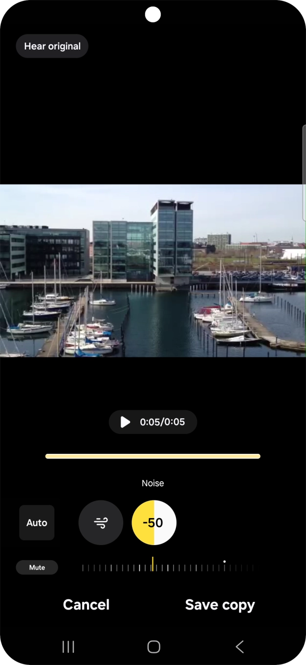 Press Mute to completely remove the selected audio type from the video.
