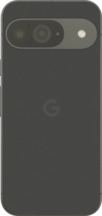 Image 2: Back view of the Google Pixel 9