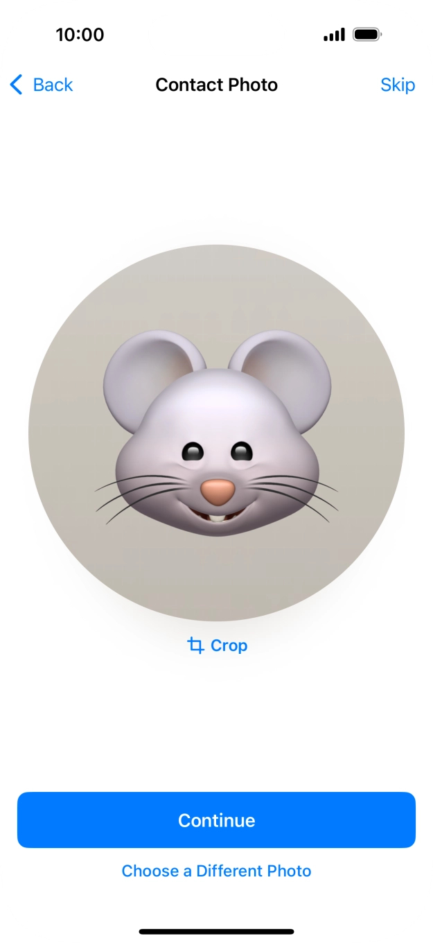 Follow the instructions on the screen to customise the selected picture and press Continue.