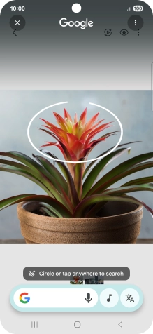 Draw a circle around the required object on the picture and wait for the search results.