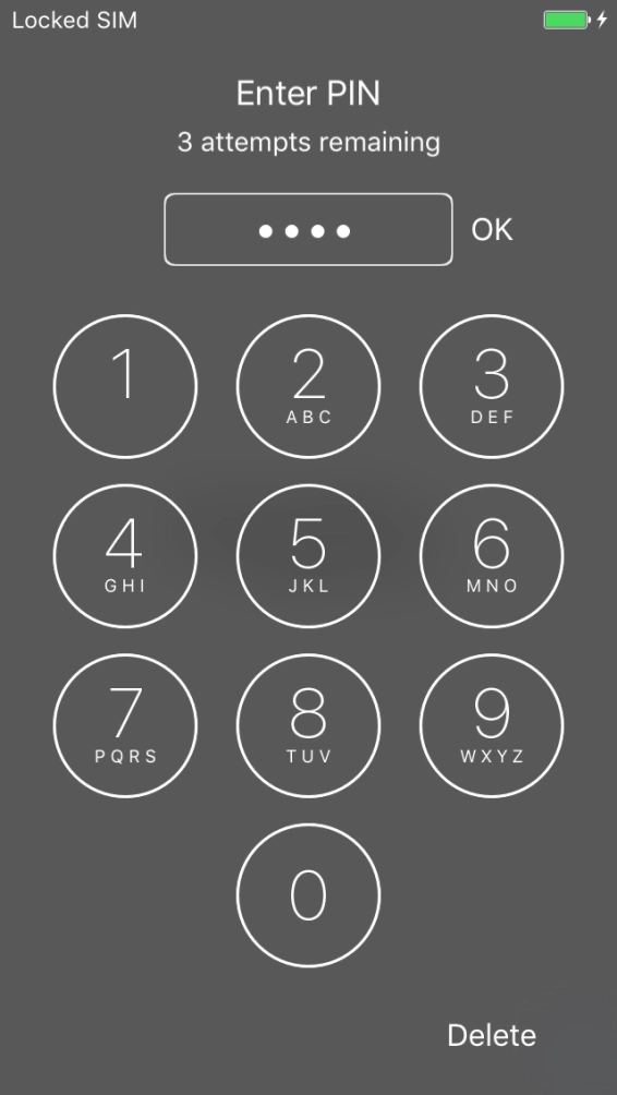 Key in your PIN and press OK. Key in your PIN and press OK.