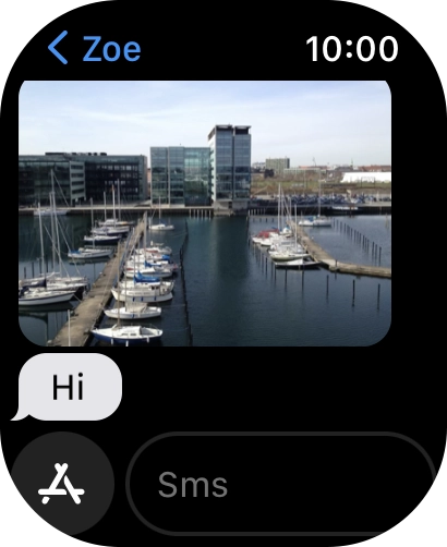 Press SMS.