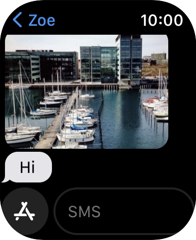 Press SMS.