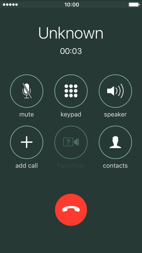Press the end call icon to end the call and return to the home screen.
