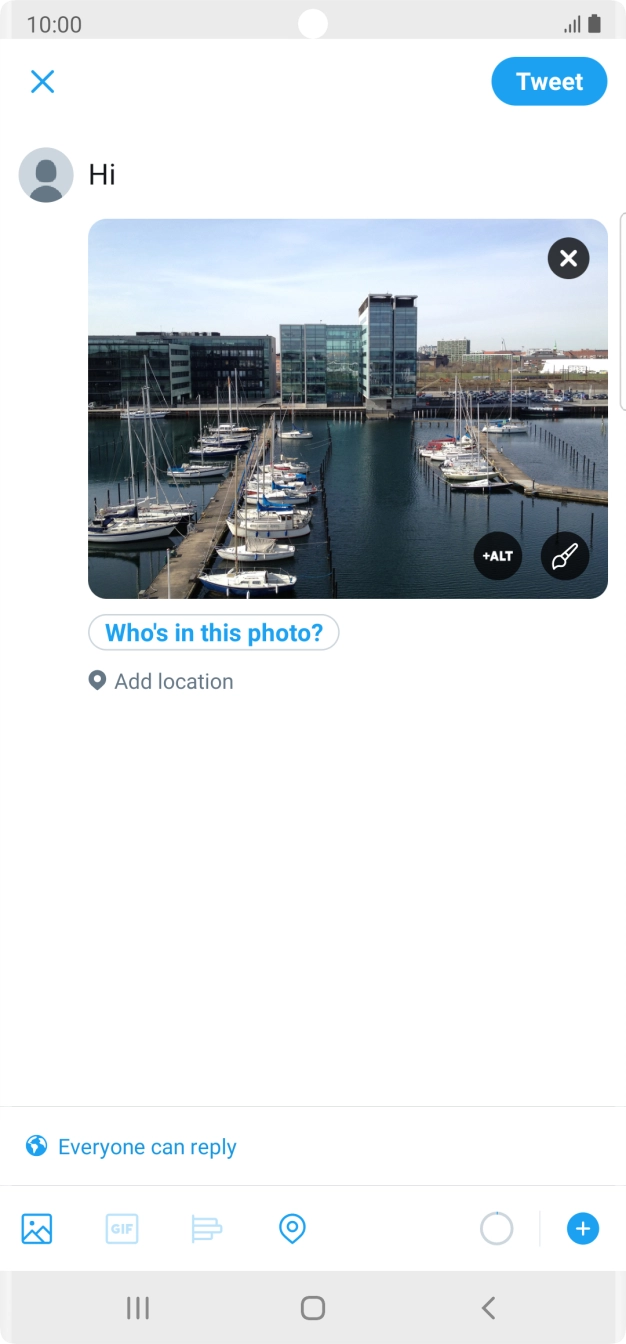 Write the required text and press Tweet.