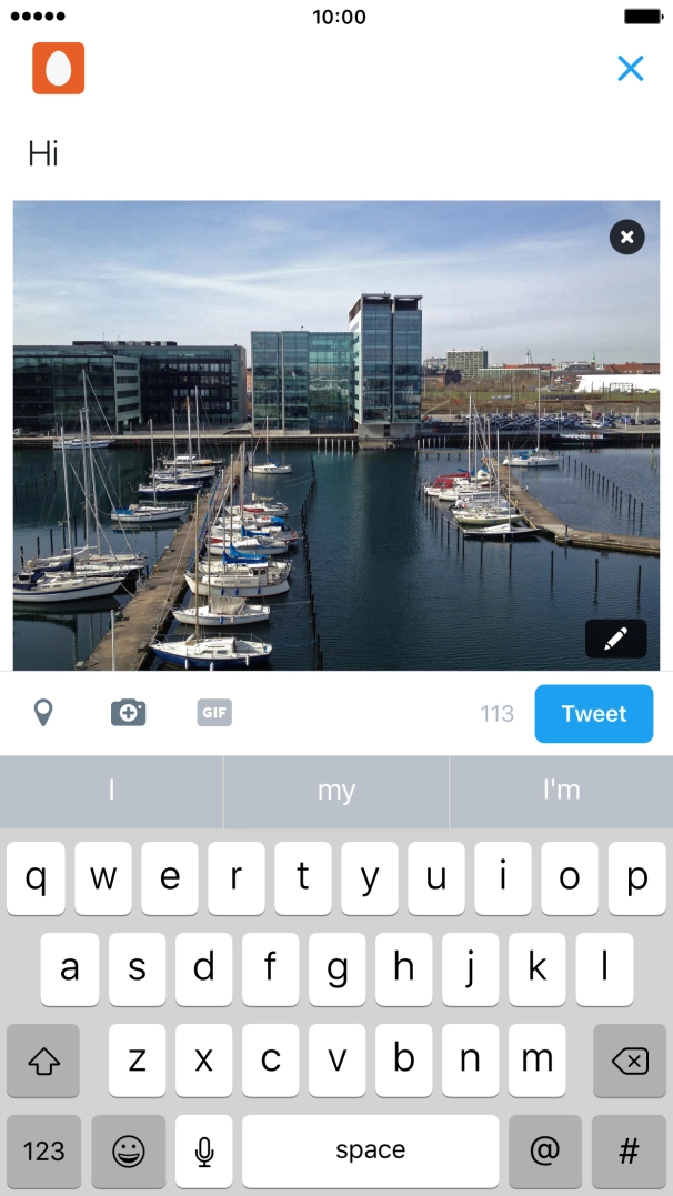 Write the required text and press Tweet.