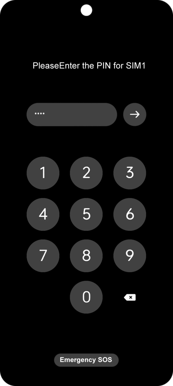 If your SIM is locked, key in your PIN and press arrow right.
