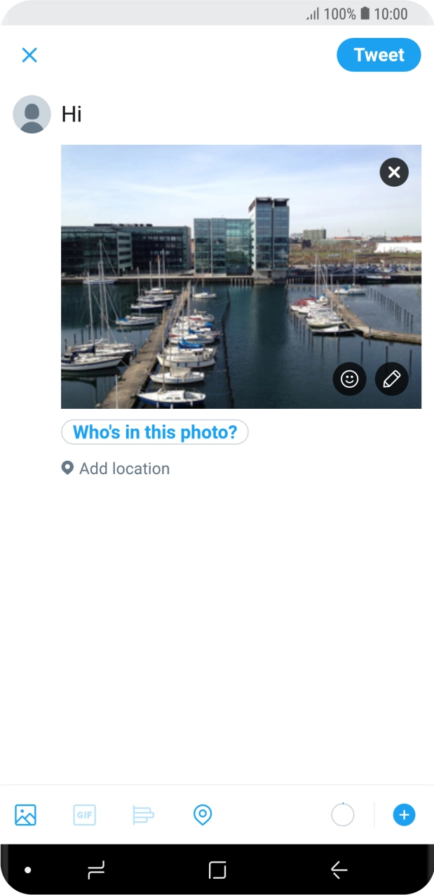 Write the required text and press Tweet.