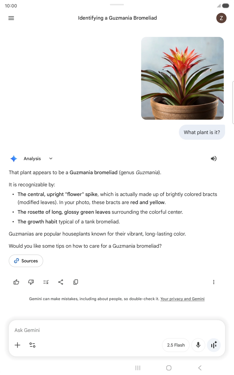 Follow the instructions on the screen to type or speak the required question. You can also attach pictures or documents and ask questions to them.