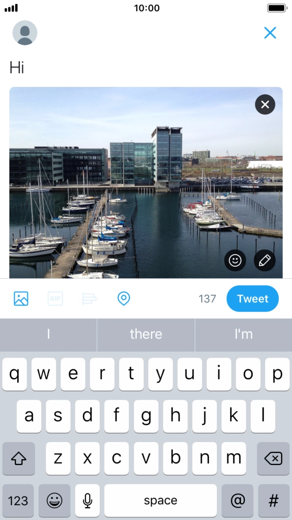 Write the required text and press Tweet.