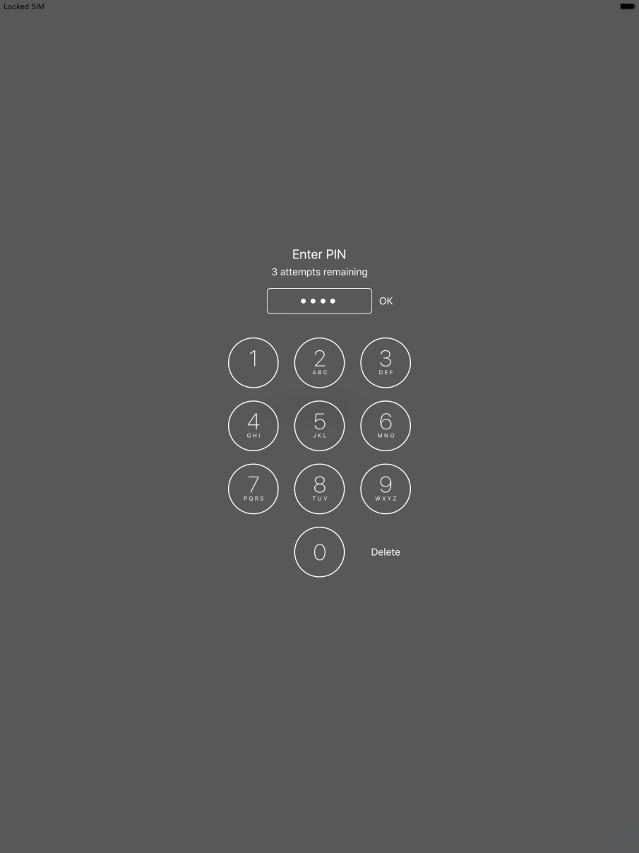 Key in your PIN and press OK. Key in your PIN and press OK.