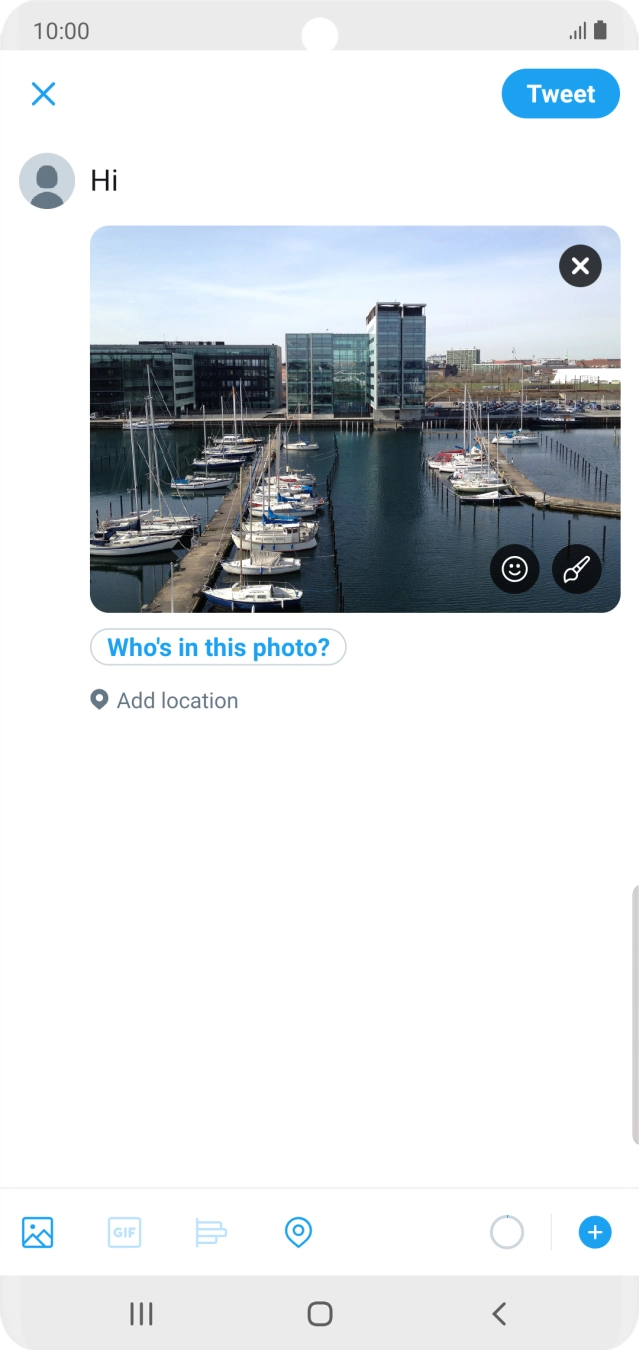 Write the required text and press Tweet.