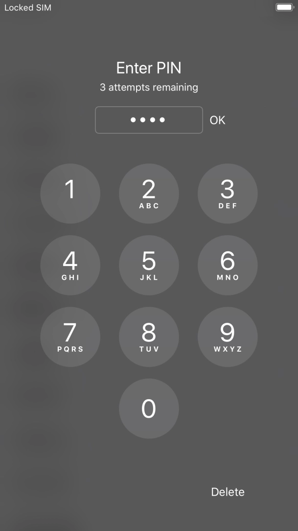 Key in your PIN and press OK. Key in your PIN and press OK.