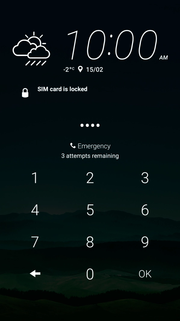 If you're asked to key in your PIN, do so and press OK.