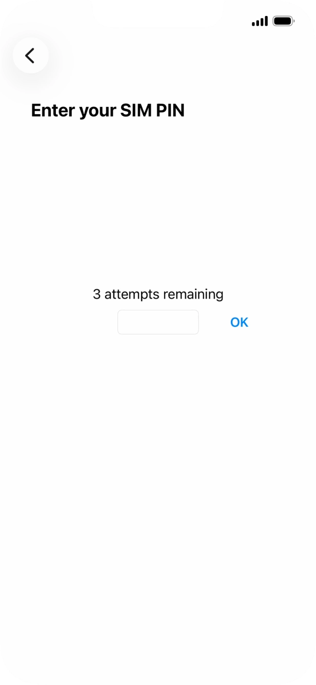 If your SIM is locked, key in your PIN and press OK.