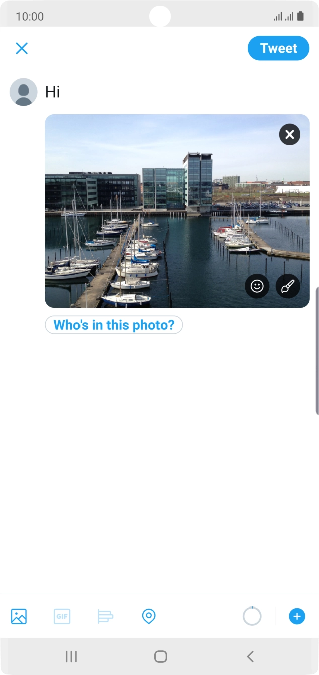 Write the required text and press Tweet.