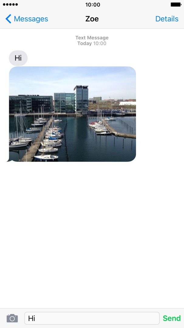 Key in the required reply and press Send. Key in the required reply and press Send.