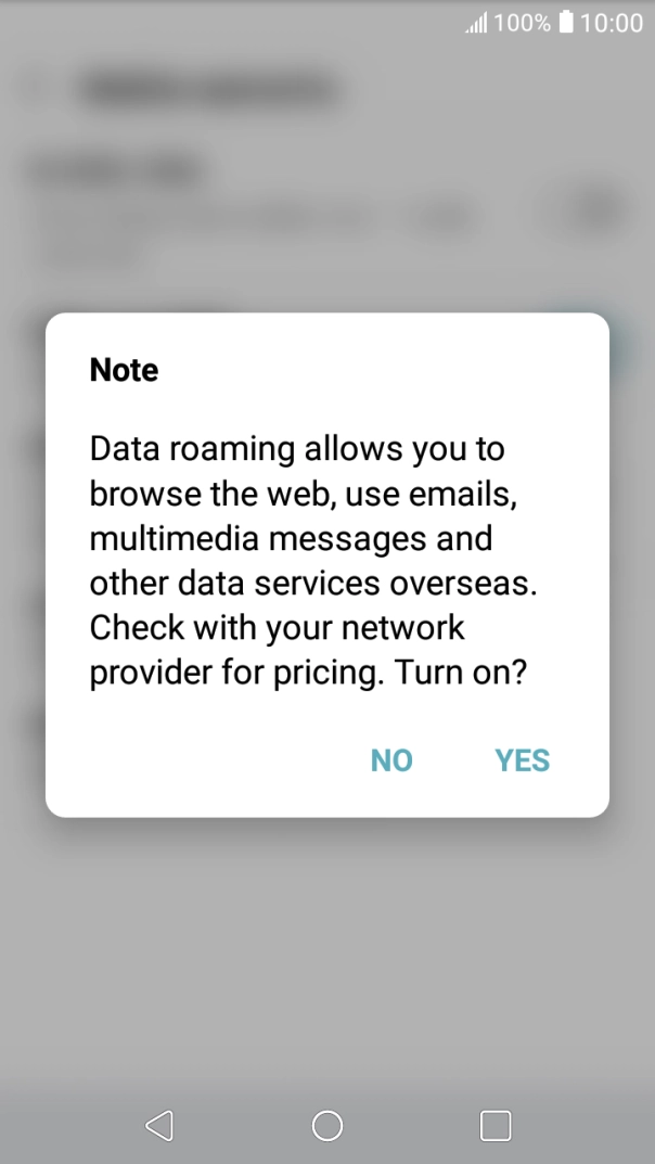 If you turn on data roaming, press YES. If you turn on data roaming, press YES.
