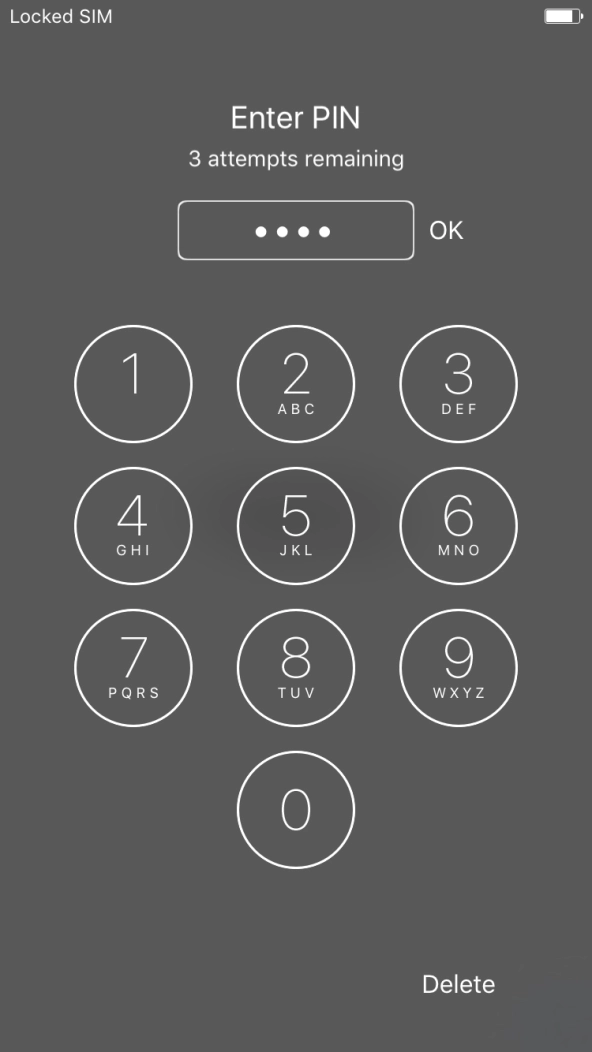 Key in your PIN and press OK. Key in your PIN and press OK.