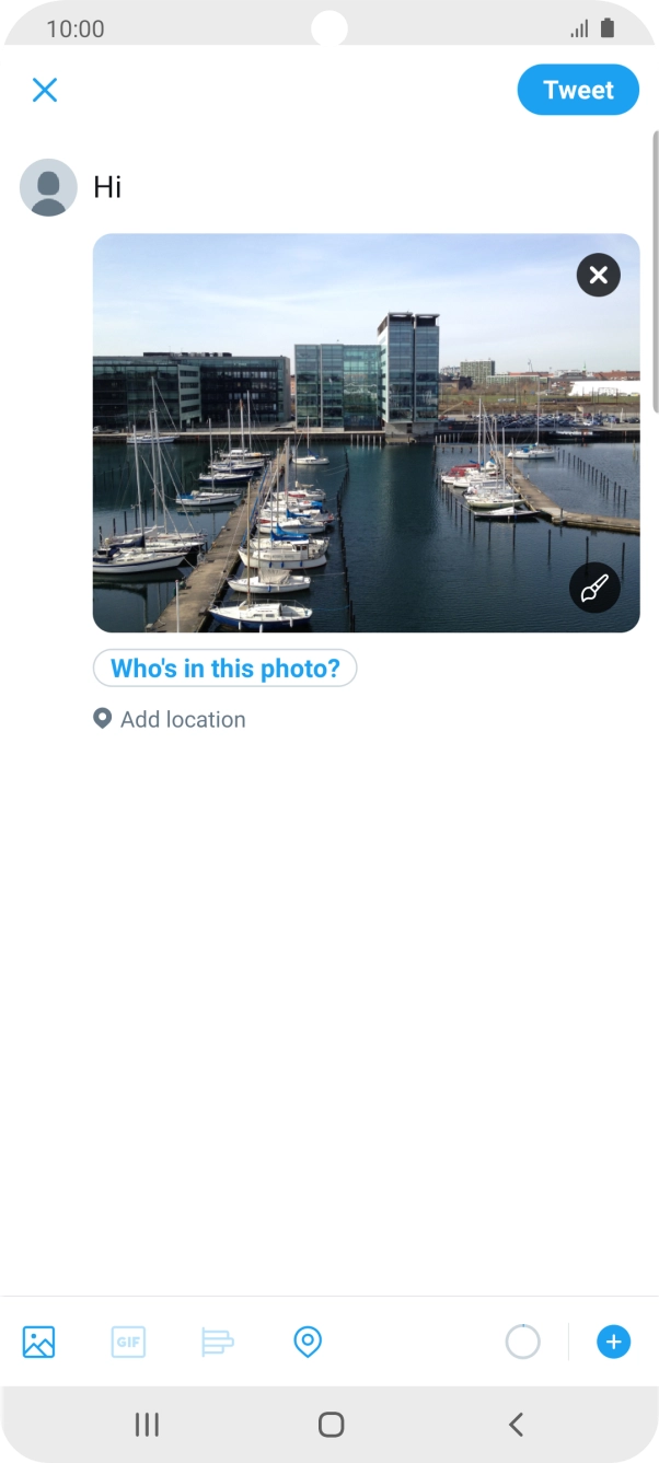 Write the required text and press Tweet.