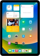 Apple iPad (10th Generation)