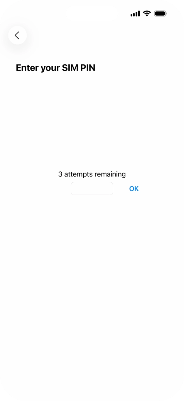 If your SIM is locked, key in your SIM PIN and press OK. The default SIM PIN is 0000.