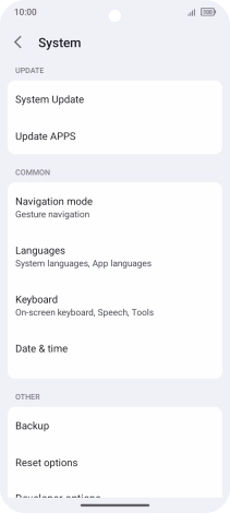 Press System Update.