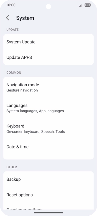 Press System Update.