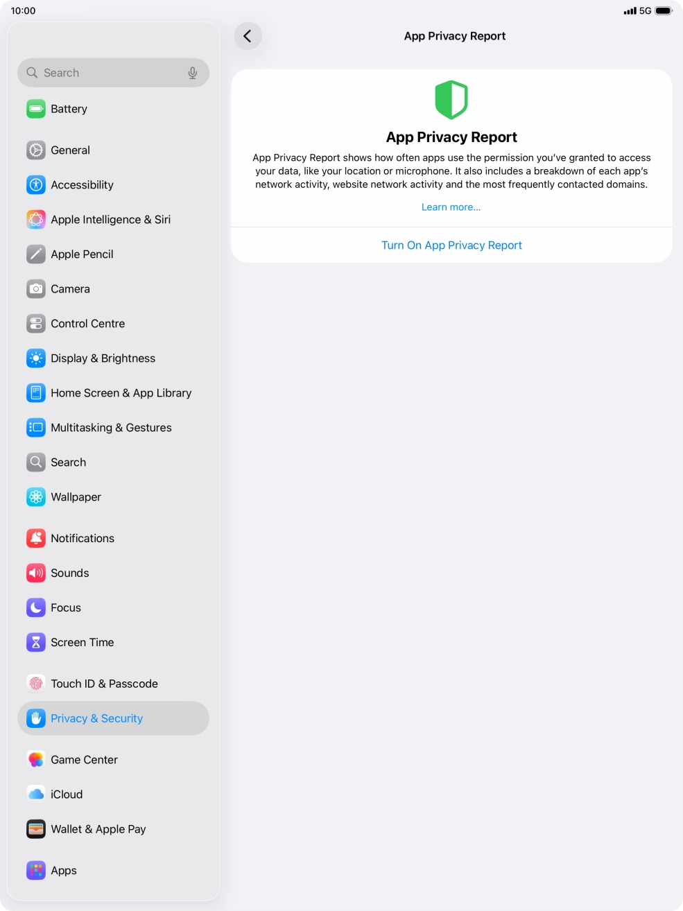 Press Turn On App Privacy Report to turn on the function.