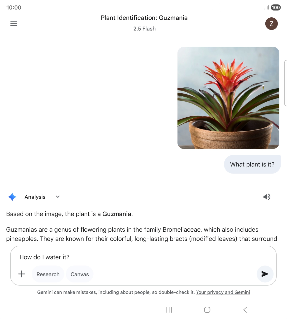 Follow the instructions on the screen to type or speak more questions to continue the conversation.