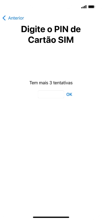 Se o cartão SIM estiver bloqueado, deve introduzir o código PIN e premir OK.