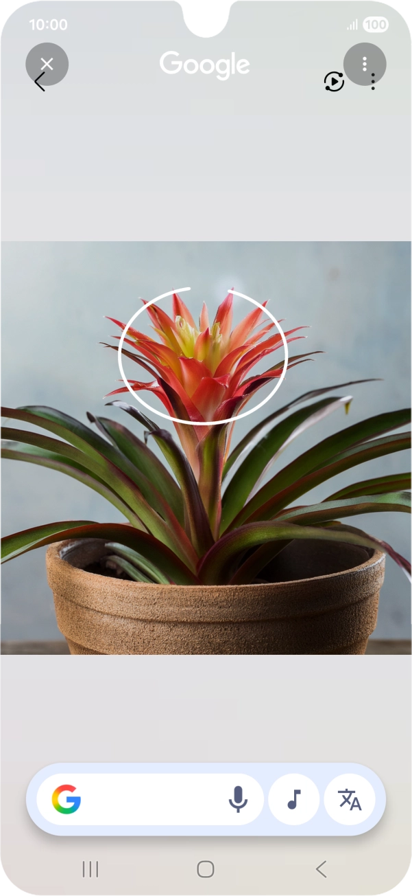 Desenhe um círculo em volta do objeto pretendido na imagem e utilize os resultados da pesquisa.