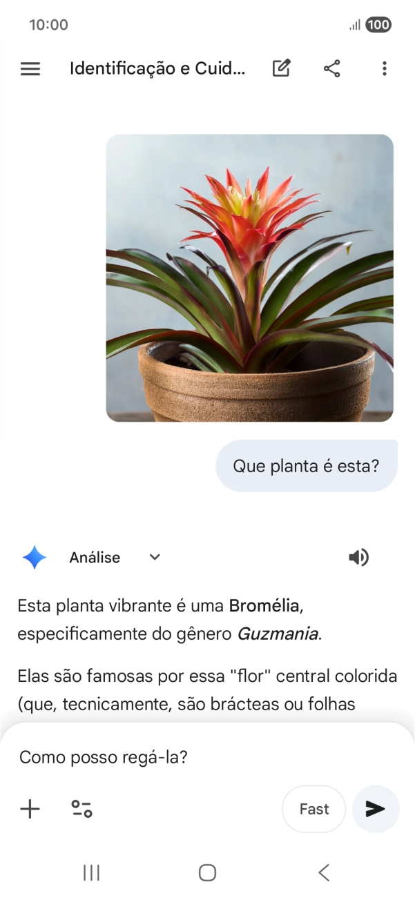 Siga as indicações no ecrã para escrever ou ditar perguntas, para continuar a conversa.