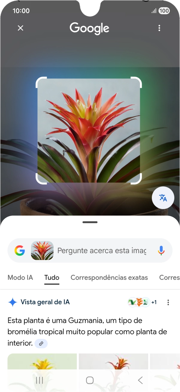 Siga as indicações no ecrã  para utilizar os resultados da pesquisa.